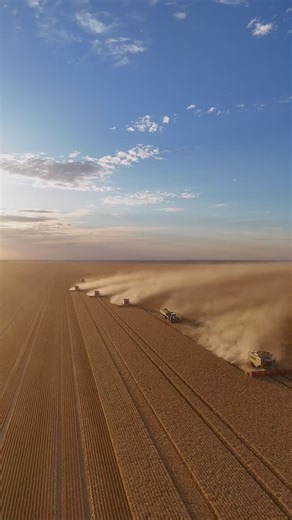 My happy place 🚜 🌾 🎥 @marcelmennega @kevindavid_71 @fabiantheux @kallevk @schuabaua @maxi_matheis @miss_welsh1 | Holly Jade Parcell