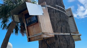 Flood tracking app and number of users grow one year later