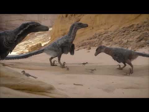 Prehistoric Planet 2 [2023] - Velociraptors Screen Time