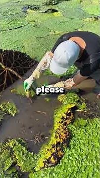 I saw videos of my fiancée cheating during her bachelorette party.