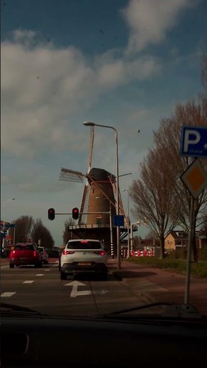 7 Days in the Netherlands: The Ultimate Trip! 🇳🇱✨
