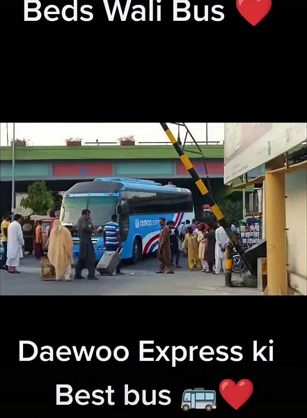 Pakistanibuses on TikTok