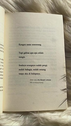 Exploring Indonesian Text Images in a Unique Book