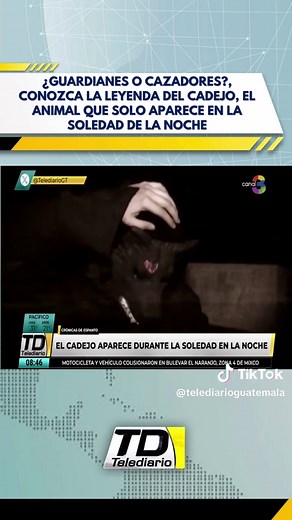 La leyenda del cadejo: Guardianes o cazadores