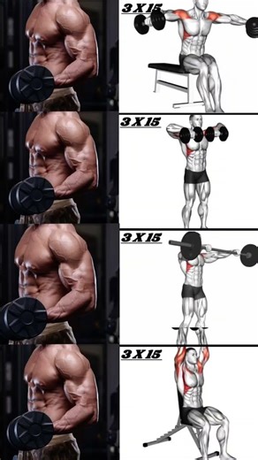 3D Shoulder Workout | Build Big Delts 🔥🏋️ #gym #status #gymworkout #shoulder #biceps #triceps#angst