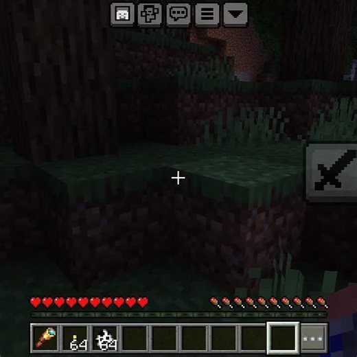 The anomaly #theanomaly #minecraft #mods