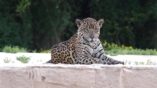 Country facts that will completely change how you see the world