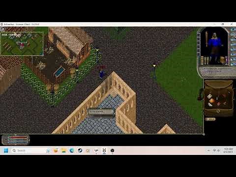 Ultima Online Analyzed and Explained