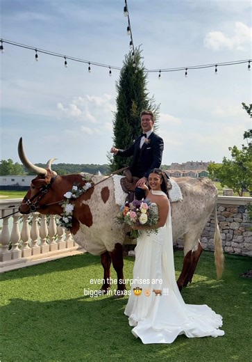 POV: you think it’s just a normal cocktail hour… 🤠🐂🤘🏼The groom’s reaction says everything !!! Texas weddings = go big or go home !!! The poll on my stories was SOOOO close, so why not both??? Check my story to see M J wedding recap too 😉 Planner: @paycard98 Coordinator: @shea_fickey Violin: @catherinebeckviolin Venue: @chapelatpalacios Content Creator: @maddisonspov Videographer: @memoir.film Photographer: @pearsonmomentsphotography @emilychappellproductions Cocktail Longhorn: @lonesomelong