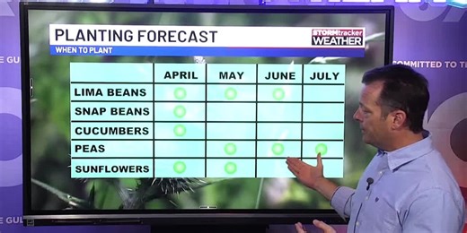 Gulf Coast planting times