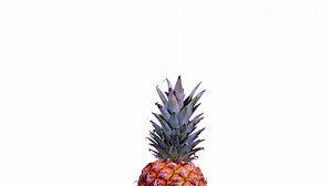 Specially crafted for ultra-quiet airflow that instantly responds to environmental changes. | AC Infinity Inc.