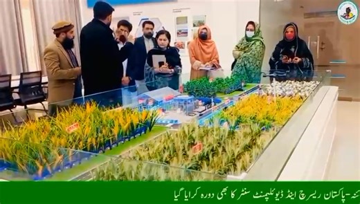 Exposure Visit – Directorate of Outreach Officers of the Directorate of Outreach visited the Center for Precision Agriculture, PMAS–Arid Agriculture University, Rawalpindi, under the project “Revitalization of Agriculture Outreach services to bridge the gap for technology adaptions “. The visit focused on precision agriculture digital technologies, including the hydrophobic zone of various vegetable trials, and digital tools such as drones, remote sensing, and unmanned agricultural vehicles. The