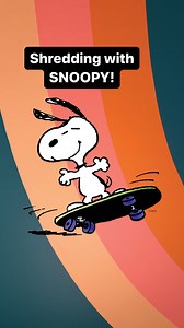 ‘No Dogs Allowed’? Not on Snoopy’s watch! 🐾🛹 Skate on over to the exhibition, “Cowabunga, Peanuts!”, to learn how skateboarding emerged when surfers wanted to get their thrills on solid ground! Charles Schulz was not a skateboarder, but he paid attention to all sports and activities, finding humor in everything. Thus making Snoopy quite the skateboarder! 🛹: Nash Skateboards circa 1985 & 1986 🛹: @kronikskateboards 🎵: Skateboarding by Jan & Dean 🔗 Click the link in our bio for more informati
