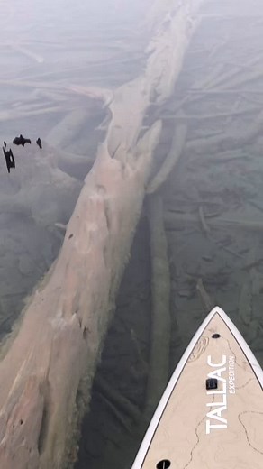 Spring paddling is the best!! Be safe out there! | Stand Up for Great Lakes