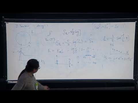 Bootstrap 2025 - Day 14 - Henry Lin and Junchen Rong