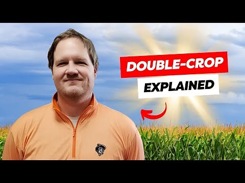 Dr. Josh Lofton: Corn in Double Cropping