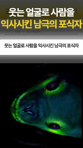 남극의 포식자 레오파드 물범 이야기