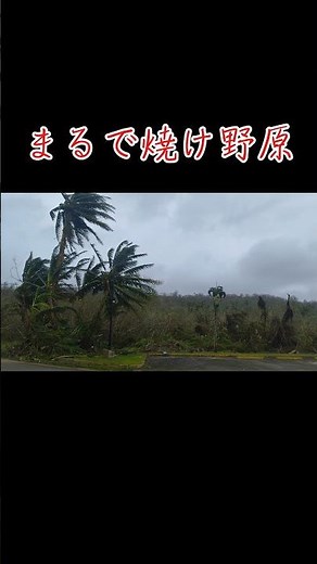 ​【グアム最新4/15 DAY6】台風通過後のグアム。変わり果てた街の様子…🌀 #グアム #グアム台風 #グアム最新情報 #海外旅行 #台風速報 #guam