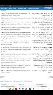 The Tree of Life Mystery: The Two Witnesses Explained (Truth Hidden in Scripture) #treesofeternity