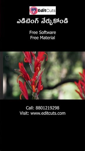 Isolate Colour || ఒకే కలర్ గా మార్చడం