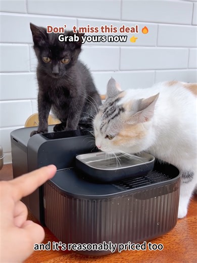 Spring Promotion: Get Your Discounts on Home Essentials!