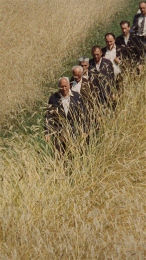 @cinemithos on Instagram: "All My Good Countrymen (1968) is a powerful Czech drama directed by Votech Jasný. Set in a Moravian village after World War II, the film chronicles the lives of farmers and townsfolk as they face the forced collectivization imposed by the communist regime, and the slow unraveling of trust, tradition, and community Jasn’s All My Good Countrymen blends realism with lyrical imagery, offering a deeply personal and poetic elegy for a lost way of life. With its ensemble cast