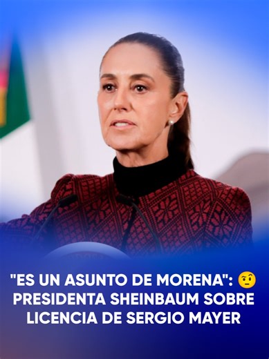 Licencia de Sergio Mayer: Un Asunto de Morena