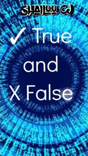 bool in python what it is let's learn with Shailoo cj #oop #autocomplete #cpython #projectloom