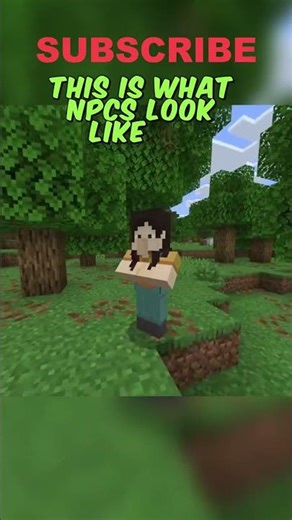 Minecraft NPC Secrets You Never Knew!