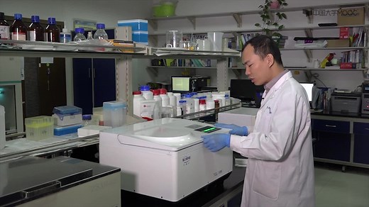 1011溶胶凝胶法合成介孔二氧化硅纳米颗粒