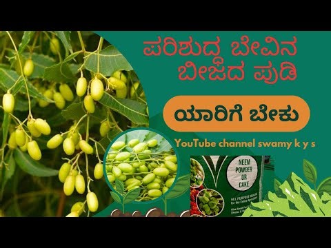 Pure Neem Powder factory