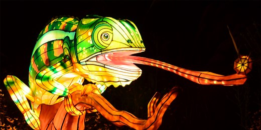 ZooLights Returns Nov. 22 to Smithsonian’s National Zoo and Conservation Biology Institute