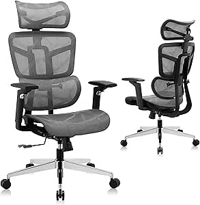 Ergonomic Office Chair High Back Home Office Desk Chairs, Adjustable Back Task Mesh Chair, Computer Chair with 5DArmrests/Lumbar Support/Headrest/Adjustable Height (Dark Gray)
