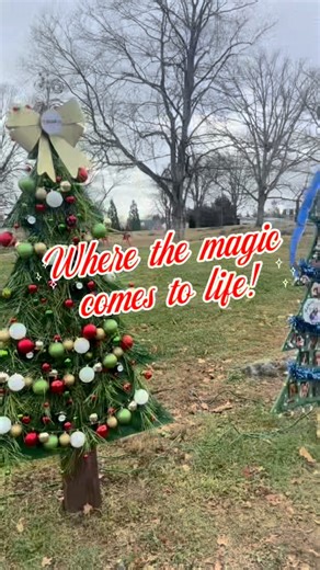 Watch the magic come alive at Christmas in the Park! ✨ Missed opening night? No problem, the lights, trees, and music run from dark to 10 PM every night through New Year’s. ❗️REMINDER❗️Don't forget to vote on your favorite trees https://tinyurl.com/bdhs9n25 👏Huge thank-you to everyone who helped make the magic happen! Travelin' Tom's Coffee Black Draft Distillery Arndt-McBee Insurance Agency Inc. WVU Medicine Berkeley and Jefferson Medical Centers Berkeley County Development Authority Nadine Ke