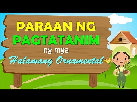 DALAWANG PARAAN NG PAGTATANIM NG HALAMANG ORNAMENTAL