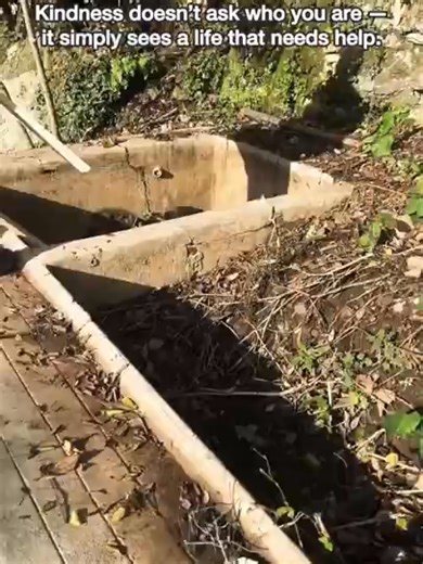 Humanity is still alive ❤️ #rescue #inspiration #positivevibes