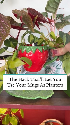 1.6M views · 26K reactions | This DIY plant pot hack turns old mugs into cute pots with a drainage hole! Want to use a drill instead? Tap the link in our bio for step-by-step directions to drilling a drainage hole in any ceramic container. 華☕ | The Spruce | Facebook