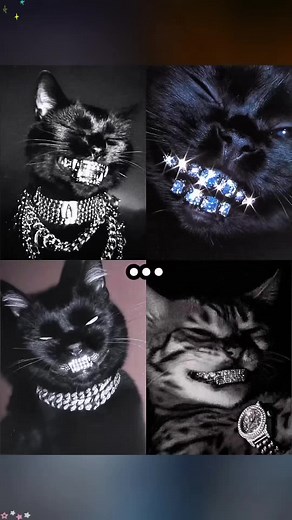 Cat Grillz panthers cat meme grillz grillz meme picture cat grillz meme picture cat with grillz meme pfp cat grillz meme cat with grillz pfp grillz sticker meme cat tongue meme ai cat grillz kai cenat grillz meme carolina panthers cat grillz panthers cat meme grillz panthers memes panthers player grillz panthers grillz black panthers that look like cats panthers cats carolina panthers cat with grillz and hat panthers with grillz panthers black cat cat grillz meme cat grillz trend cat grillz pfp