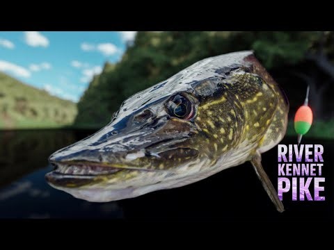 Fly Fishing & Pike Hunting | Real UK River Sessions