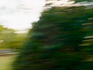 You might’ve heard Trump talk about a 4th grader who started a podcast. I lost the baby fat but that’s me. 😂 I’ve been doing this since the only listeners were my classmates at recess. Now I’m in college, urging Gen Z to stop complaining and fix the nation our parents handed us. | Brilyn Hollyhand