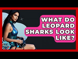 What Do Leopard Sharks Look Like? - The Marine Life Explorer