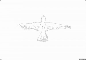 dove flapping overhead on Make a GIF