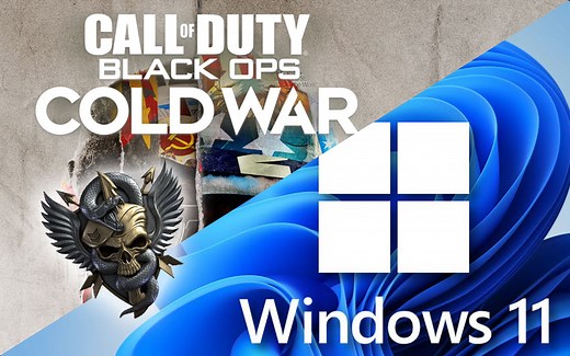 Windows 11能畅玩使命召唤吗？up能出核吗？