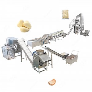 [Hot Item] Garlic Processing Machine Plant, Peeling, Washing, Packing