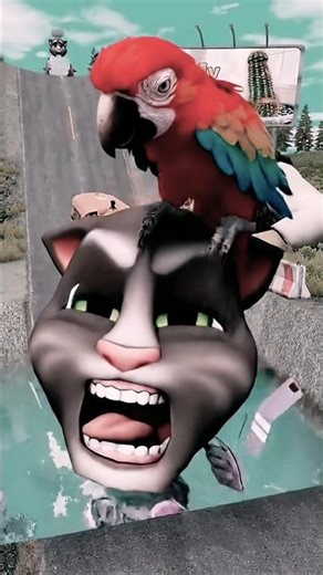Weird Funny Cars vs Scary Tom Cat & Parrot on the cat in BeamNG.drive