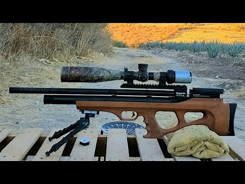 BENJAMIN AKELA 5.5. Full Review. In Spanish