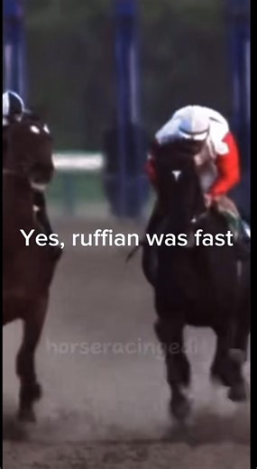 Rufian is fast… but Secretariat will always be the greatest. 🐎✨ Speed can impress, but true greatness is timeless. Secretariat’s legacy is unmatched, a legend that will never be surpassed. #Secretariat #HorseRacingLegend #TimelessGreatness #EquestrianLife #CavalloLeggendario | Secretariat love page