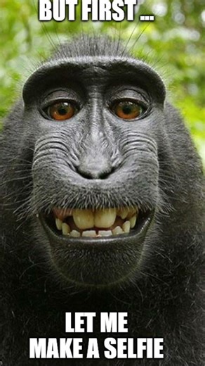 Let’s make tithe first meme of 2026