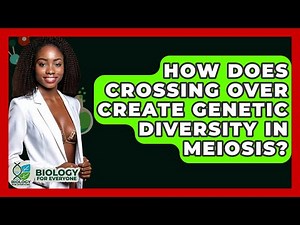 How Does Crossing Over Create Genetic Diversity In Meiosis? - Biology For Everyone