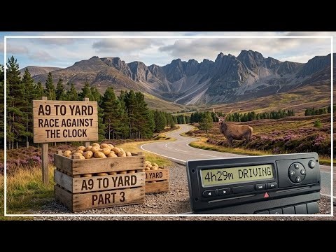 A9 to Yard: RACE AGAINST THE CLOCK! | Part 3 🕒🚛